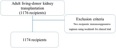 Prediction models for the recipients’ ideal perioperative estimated glomerular filtration rates for predicting graft survival after adult living-donor kidney transplantation